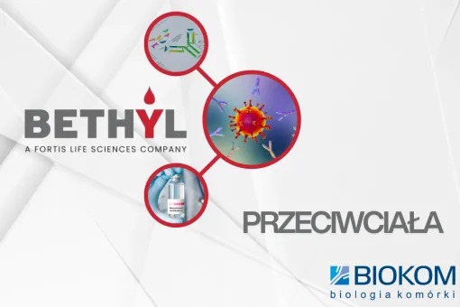 Bethyl - Oferta przeciwciał