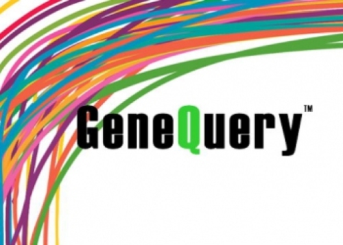 GeneQuery