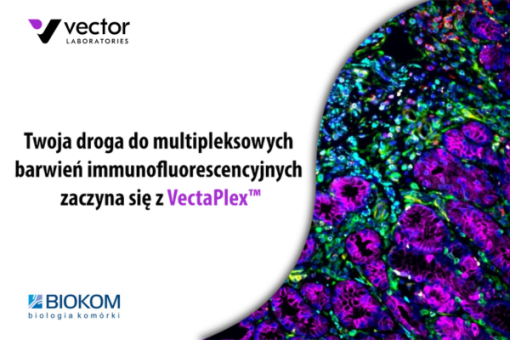 VectaPlex™ Antibody Removal Kit