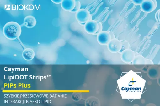 Cayman LipiDOT Strips™: nowe narzędzie do badania interakcji białko-lipid