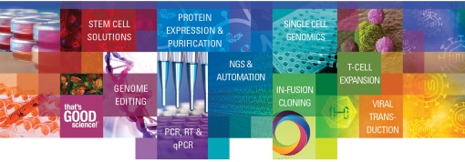 WEBINARIUM: CAS9/SGRNA RIBONUCLEOPROTEIN (RNP) DELIVERY TO IMPROVE YOUR GENE EDITING EXPERIMENTS