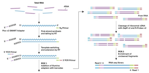 WEBINARIUM: BREAKING PERFORMANCE BARRIERS IN NEXT-GEN SEQUENCING LIBRARY PREPARATION