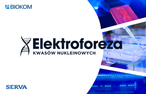 Elektroforeza kwasów nukleinowych