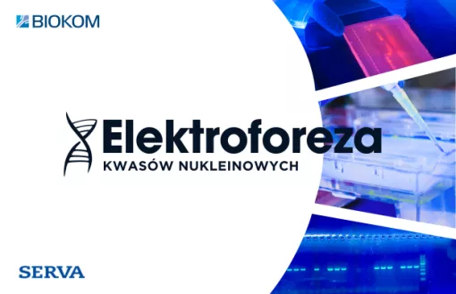 Elektroforeza kwasów nukleinowych