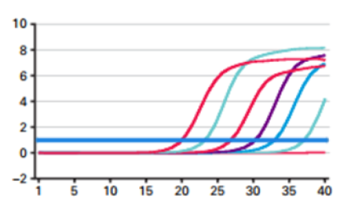 qPCR