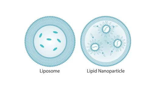 Nanocząsteczki lipidowe jako nośniki leków