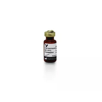 Vector | 1.5 mg | AI-3000-1.5 | Goat Anti-Human IgG Antibody (H+L), Unconjugated, 1.5 mg