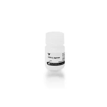 Vector | 10 ml | AL-1003-10 | Concanavalin A (Con A), Agarose bound, 10 ml