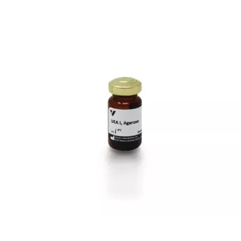 Vector | 2 ml | AL-1063-2 | Ulex Europaeus Agglutinin I (UEA I), Agarose bound, 2 ml