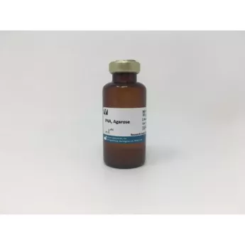 Vector | 2 ml | AL-1073-2 | Peanut Agglutinin (PNA), Agarose bound, 2 ml