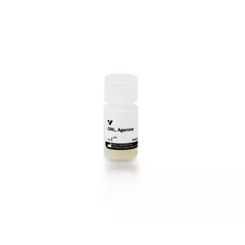 Vector | 5 ml | AL-1243-5 | Galanthus Nivalis Lectin (GNL), Agarose bound, 5 ml