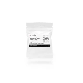 Vector | 5x 1 mg | B-1001-105 | ChromaLINK® Biotin (DMF Soluble), 5 x 1 mg