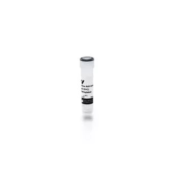 Vector | 1.5 mg | BA-9500-1.5 | Horse Anti-Goat IgG Antibody (H+L), Biotinylated, 1.5 mg