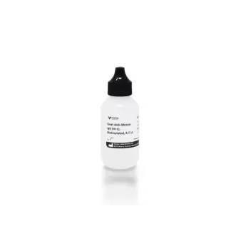 Vector | 50 ml | BP-9200-50 | Goat Anti-Mouse IgG Antibody (H+L), Biotinylated, R.T.U., 50 ml