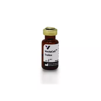 Vector | 2 ml | CB-1000-2 | VectaCell Trolox Antifade Reagent for Live Cell Imaging, 2 ml