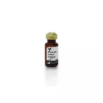 Vector | 1 mg | I-2000-1 | Mouse IgG, Control Antibody, 1 mg