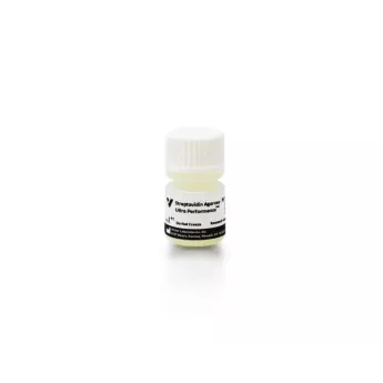 Vector | 2 ml | N-1000-002 | Streptavidin Agarose Ultra Performance™, 2 mL