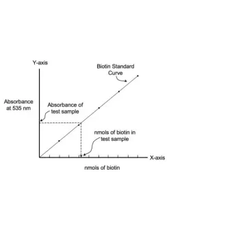 Vector | 1 Kit | BDK-2000 | QuantTag Biotin Quantitation Kit, 1 Kit