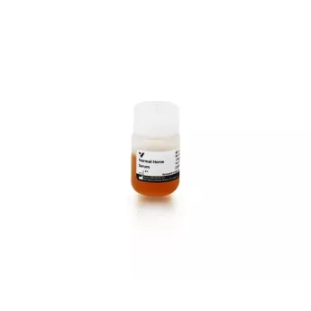 Vector | 20 ml | S-2000-20 | Normal Horse Serum Blocking Solution, 20 ml