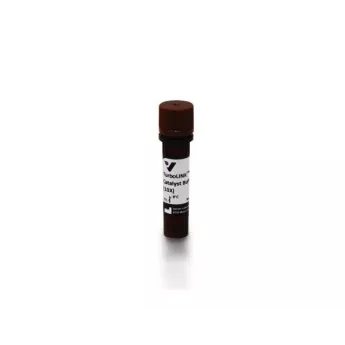 Vector | 1.5 ml | S-2006-105 | TurboLINK™ Catalyst Buffer (10X), 1.5 mL