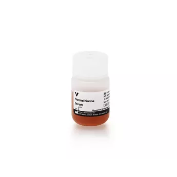 Vector | 20 ml | S-4000-20 | Normal Swine Serum Blocking Solution, 20 ml