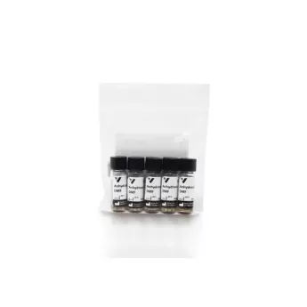 Vector | 5x 1.5 ml | S-4001-005 | Anhydrous DMF, 5 x 1.5 mL