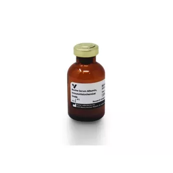 Vector | 500 mg | SP-5050-500 | Bovine Serum Albumin (BSA), Immunohistochemical Grade, 500 mg