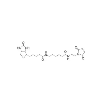 Vector | 12 mg | SP-1501-12 | Biotin (Long Arm) Maleimide, 12 mg