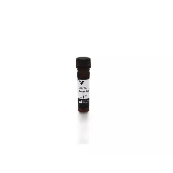 Vector | 1 mg | TL-1176-1 | Lycopersicon Esculentum (Tomato) Lectin (LEL, TL), Texas Red™, 1 mg