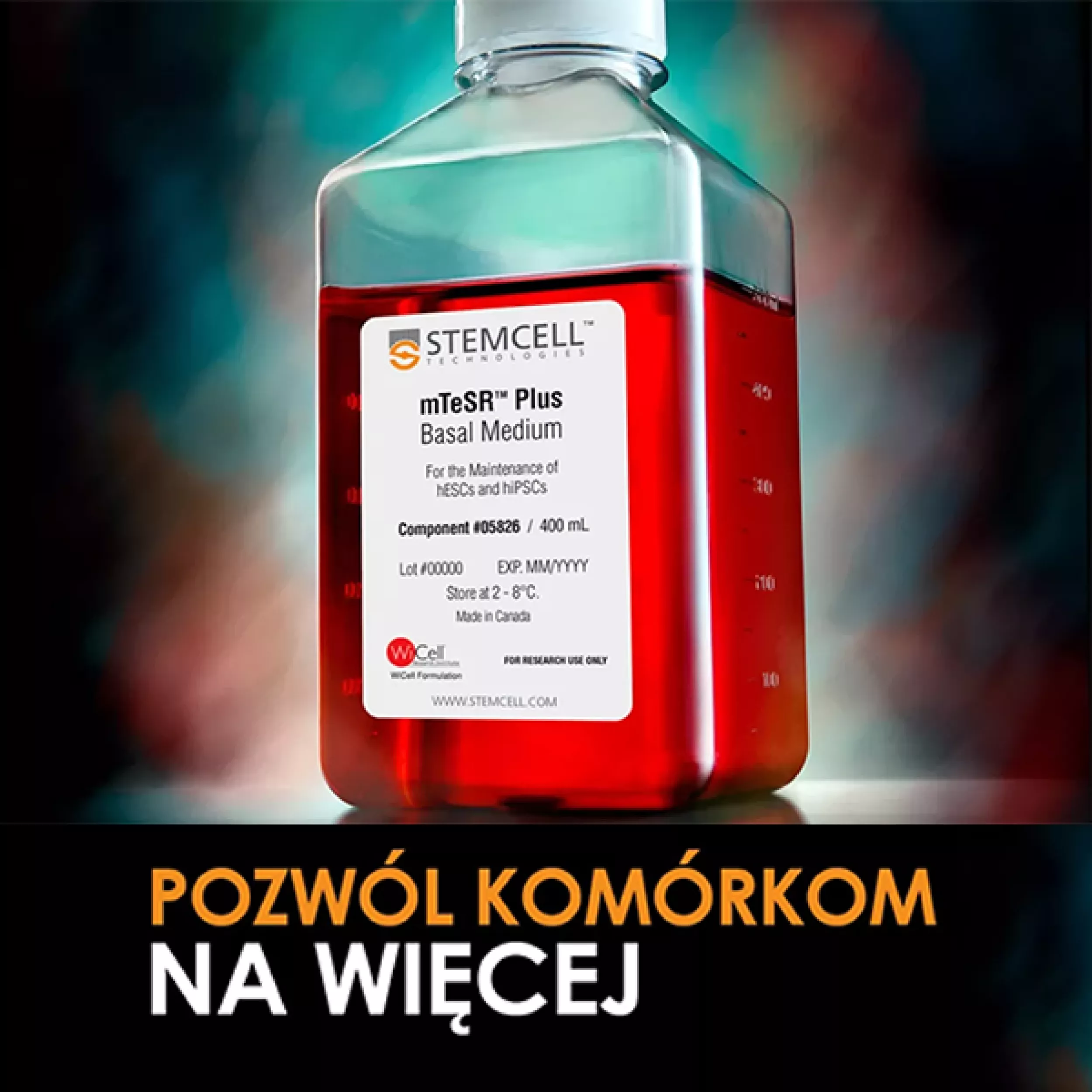 Poznaj najczęściej cytowane podłoże do hodowli komórek macierzystych TeSR™ 