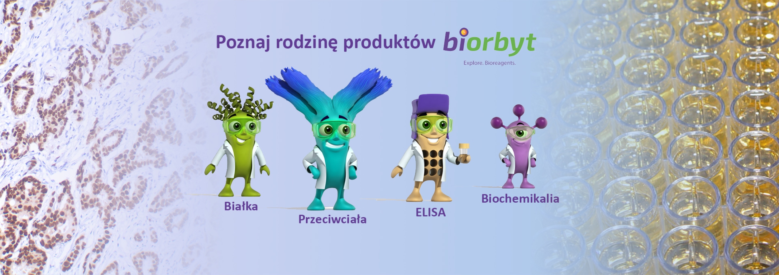 Poznaj rodzinę produktów Biorbyt